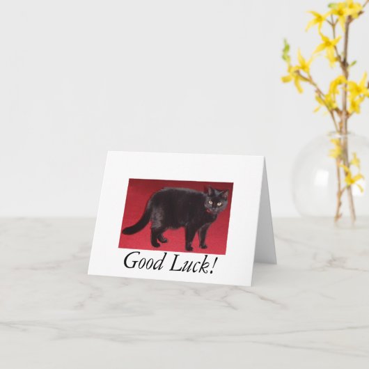 Carte Good Luck cat (Fleur jaune)