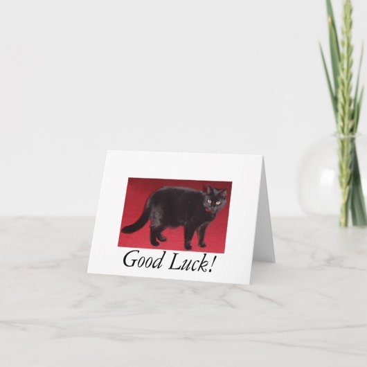 Carte Good Luck cat (Devant)