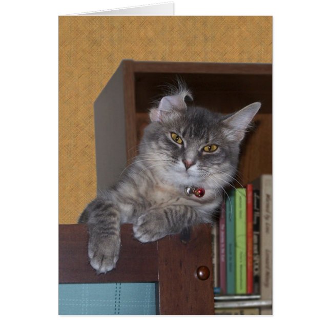 Carte Goofy Xena (Devant)