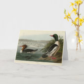Carte Goosander (Merganser commun) Oiseaux d'Audubon (Fleur jaune)