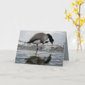 Carte Goose canadien 1975 (Fleur jaune)