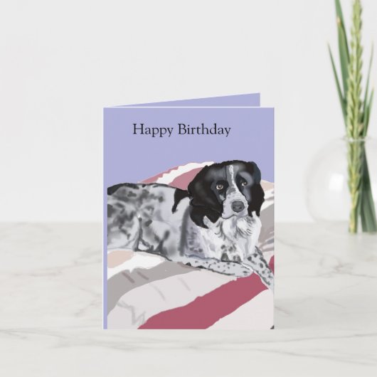 Carte Gorgeous Black and White Springer Spaniel (Devant)