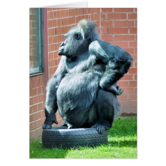 Carte GORILLA (Devant)