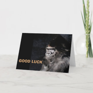 Carte Gorilla réfléchie