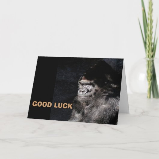 Carte Gorilla réfléchie (Devant)