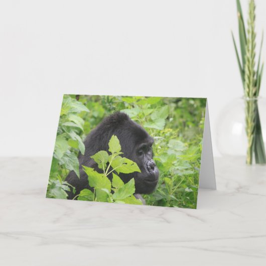 Carte Gorilla - Vide à l'intérieur (Devant)