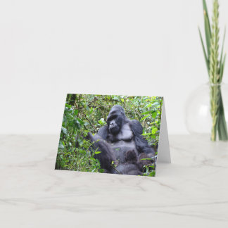 Carte Gorilles - Rwanda