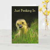 Carte Gosling Baby Bird Encouragement (Fleur jaune)
