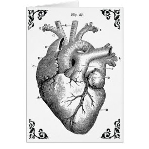 Carte gothique vintage du diagramme cardiaque