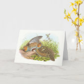 Carte Gould - perdrix - perdix de Perdix (Fleur jaune)