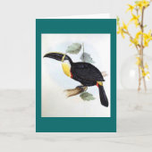 Carte Gould - toucan Osculant (Fleur jaune)