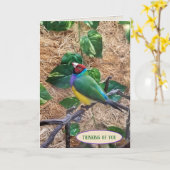 Carte Gouldian Finch sur branche pour penser à vous (Fleur jaune)