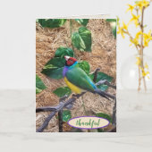 Carte Gouldian Finch sur branche pour remercier (Fleur jaune)