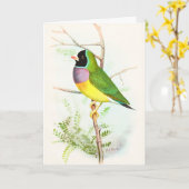 Carte Gouldian Rainbow Finch Endanged Oiseau Australien (Fleur jaune)