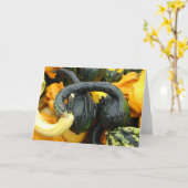 Carte Gourdes (Fleur jaune)