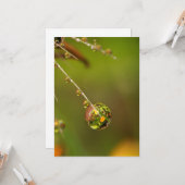 Carte Goutte d'eau en gros plan (Devant/Arrière en situation)