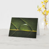 Carte Gouttelettes de feuille (Fleur jaune)