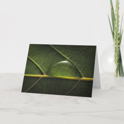 Carte Gouttelettes de feuille (Devant)