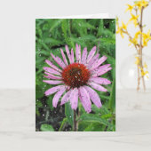 Carte Gouttes de pluie sur Echinacea (Fleur jaune)