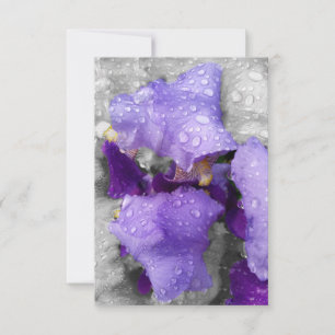 Carte gouttes d'eau sur iris