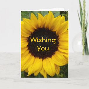 Carte Grace de tournesol