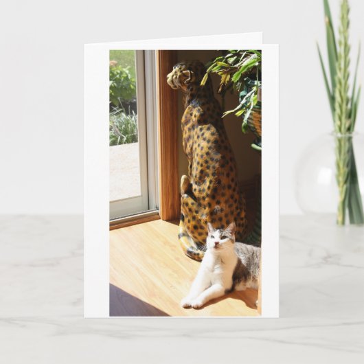 Carte Gracey et mauvais prendre un bain de soleil de (Devant)