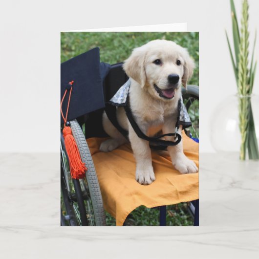 Carte Graduate Penny (Devant)