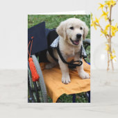 Carte Graduate Penny (Fleur jaune)