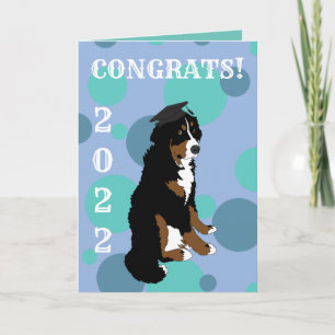 Carte Graduation Bernese Mountain Dog