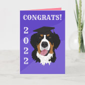 Carte Graduation Bernese Mountain Dog (Devant)