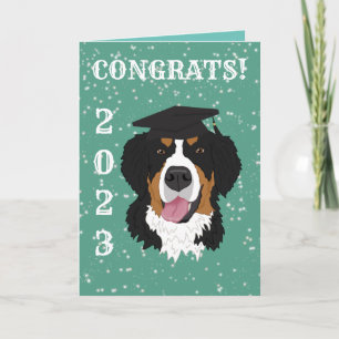 Carte Graduation Bernese Mountain Dog