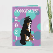 Carte Graduation Bernese Mountain Dog (Devant)