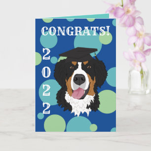 Carte Graduation Bernese Mountain Dog