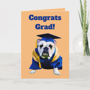 Carte Graduation de Bulldog