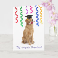 Graduation de Grandson Cute Dog
