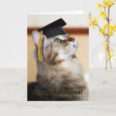 Carte Graduation Félicitations Chat Portant un carton (Fleur jaune)