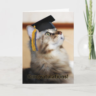 Carte Graduation Félicitations Chat Portant un carton