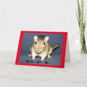 Carte Graduation Gerbil (Devant)
