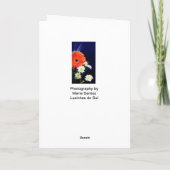 Carte Graduation - Plumes Peacock (Dos)