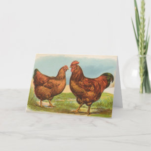 Carte Graham - poulets de rouge d'île de Rhode
