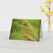 Carte Graine (Fleur jaune)