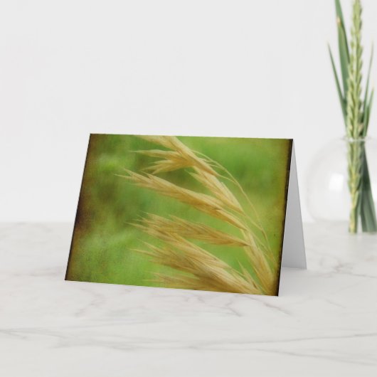 Carte Graine (Devant)