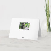 Carte Graine de Sandhill (Dos)