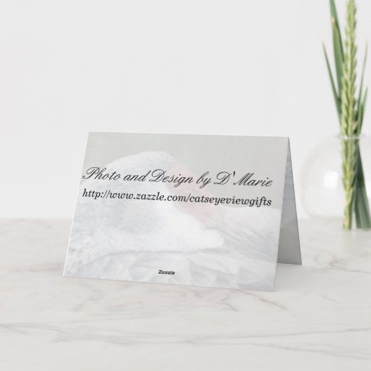 Carte Graine de Sandhill (Dos)