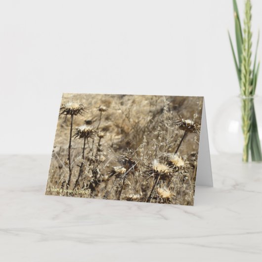 Carte Graine sèche (Devant)