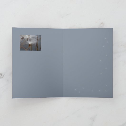 Carte Graines d'algues (Intérieur)