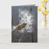 Carte Graines d'algues (Fleur jaune)