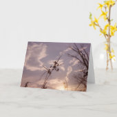 Carte Graines dans le début de soirée (Fleur jaune)