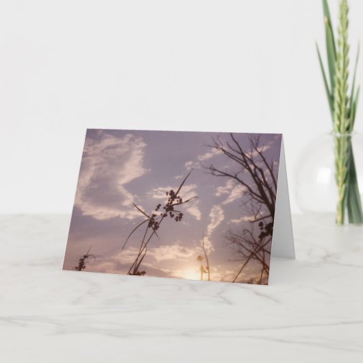 Carte Graines dans le début de soirée (Devant)