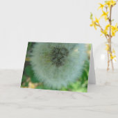 Carte Graines de Dandelion (Fleur jaune)